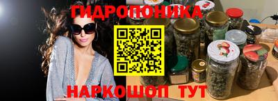 сатива Сланцы