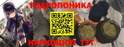 сатива Сланцы