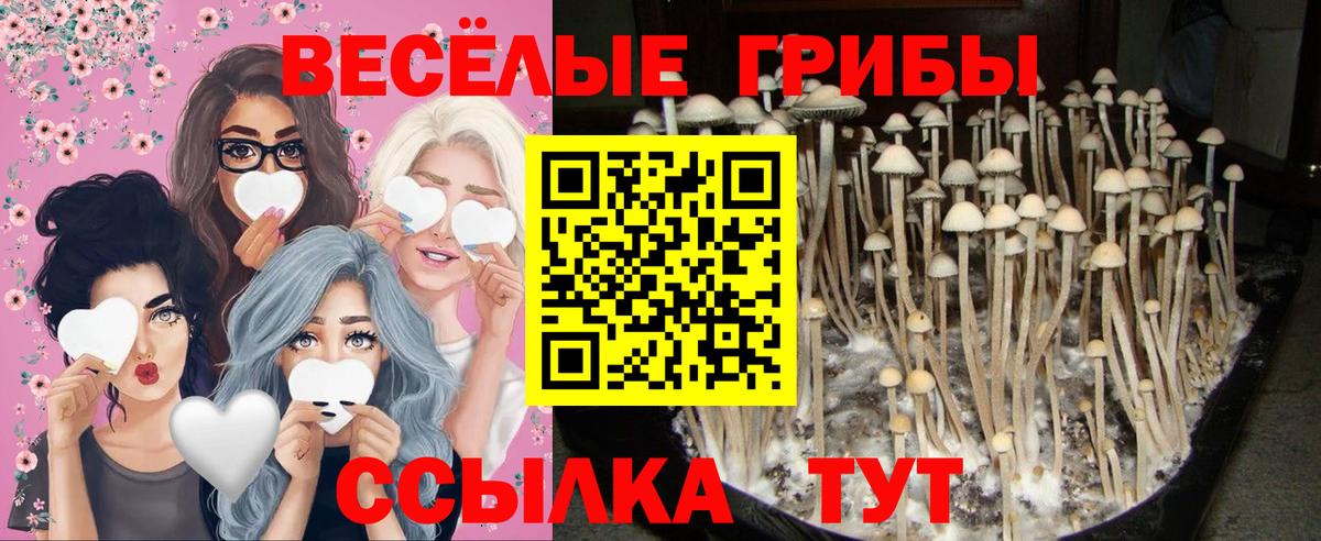 Псилоцибиновые грибы ЛСД Новоуральск