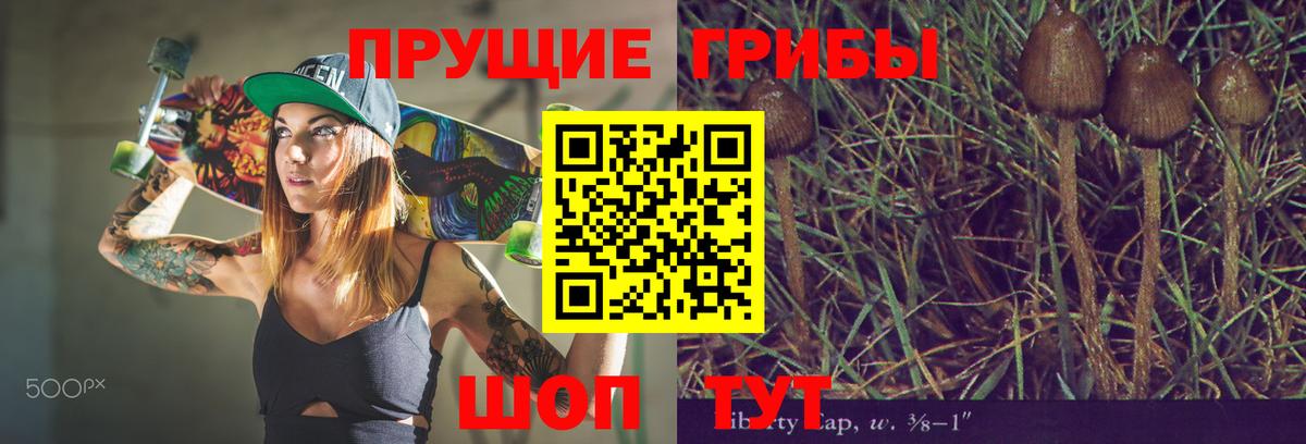Галлюциногенные грибы мухоморы  Псилоцибиновые грибы MAGIC MUSHROOMS  Вход с VPN  купить  цена  Новоуральск 